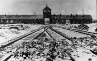 Anniversaire découverte Auschwitz-270115