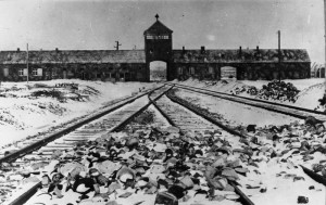 Anniversaire découverte Auschwitz-270115